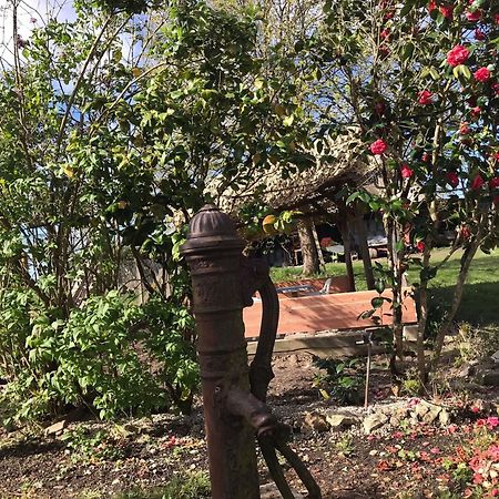 Villa Coco 9 Personnes Jardin Proche Beauval Lye Luaran gambar