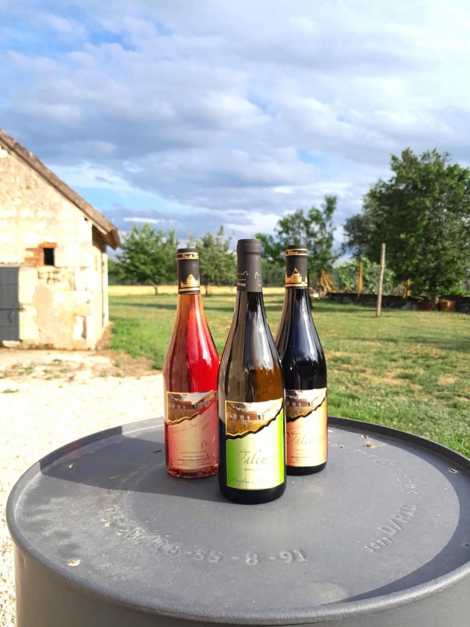 Villa Coco 9 Personnes Jardin Proche Beauval Lye Luaran gambar